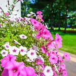 Boconek - Przeciszow Bed & Breakfast Zator