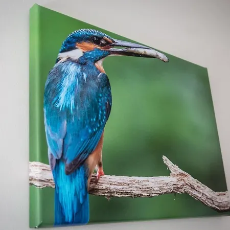 Boconek - Przeciszow