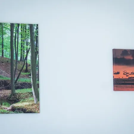 Boconek - Przeciszow Zator