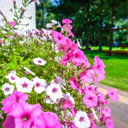 Boconek - Przeciszow Bed and Breakfast Zator