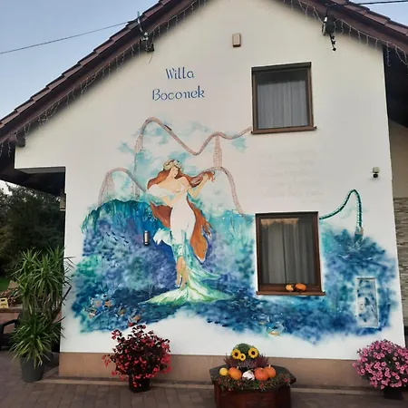 Boconek - Przeciszow Bed & Breakfast 3*