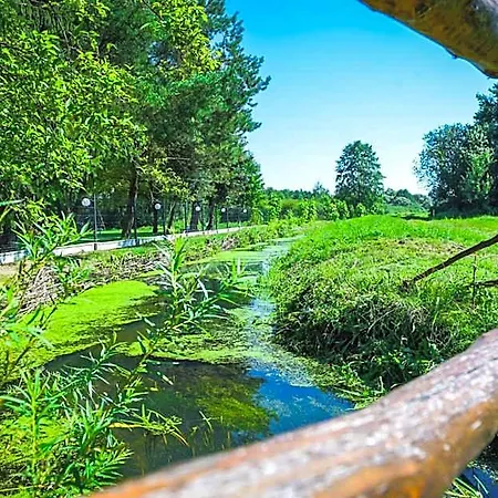 Boconek - Przeciszow 3*