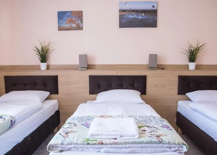 Boconek - Przeciszow 3*