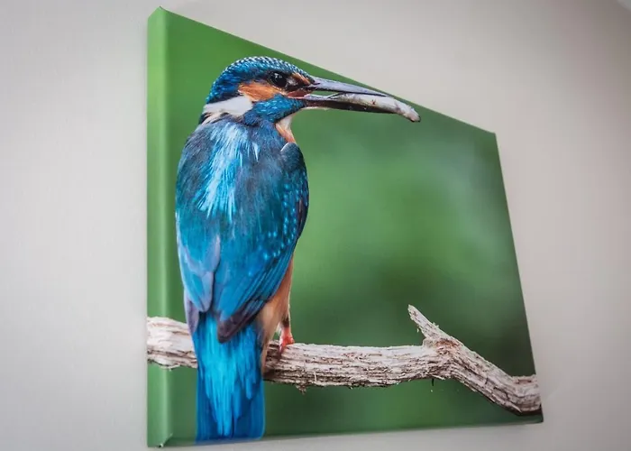 Boconek - Przeciszow