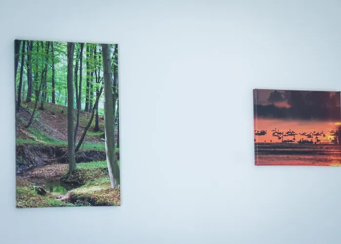 Boconek - Przeciszow ザトル