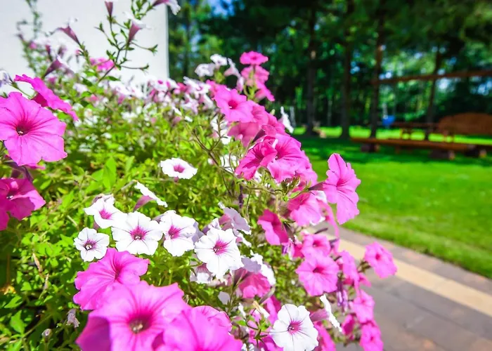 Boconek - Przeciszow Bed and Breakfast Zator